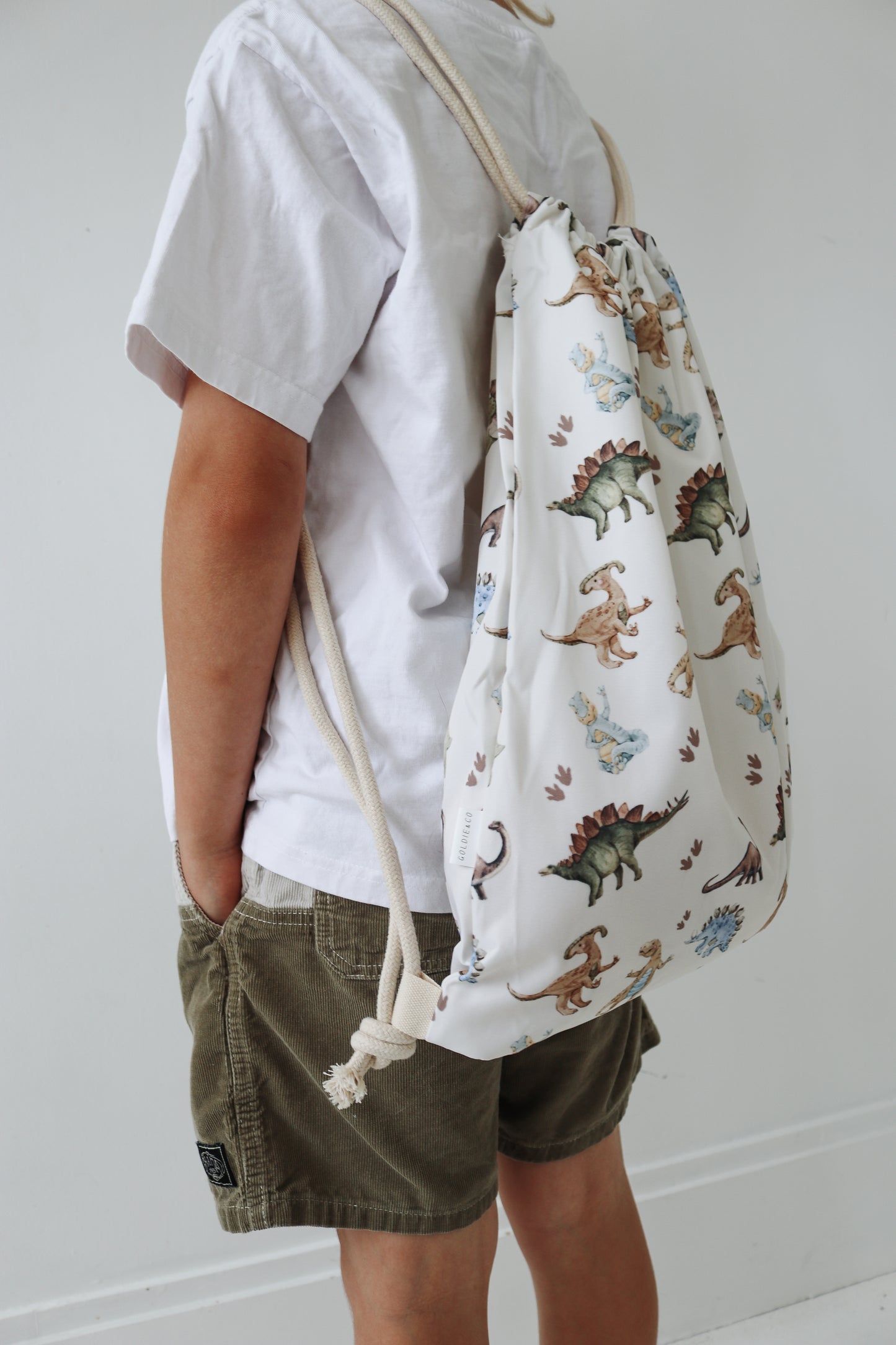 Dinosaur Swim Bag
